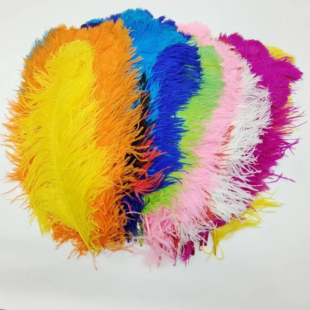 Plumes d'autruche naturelles pour l'artisanat