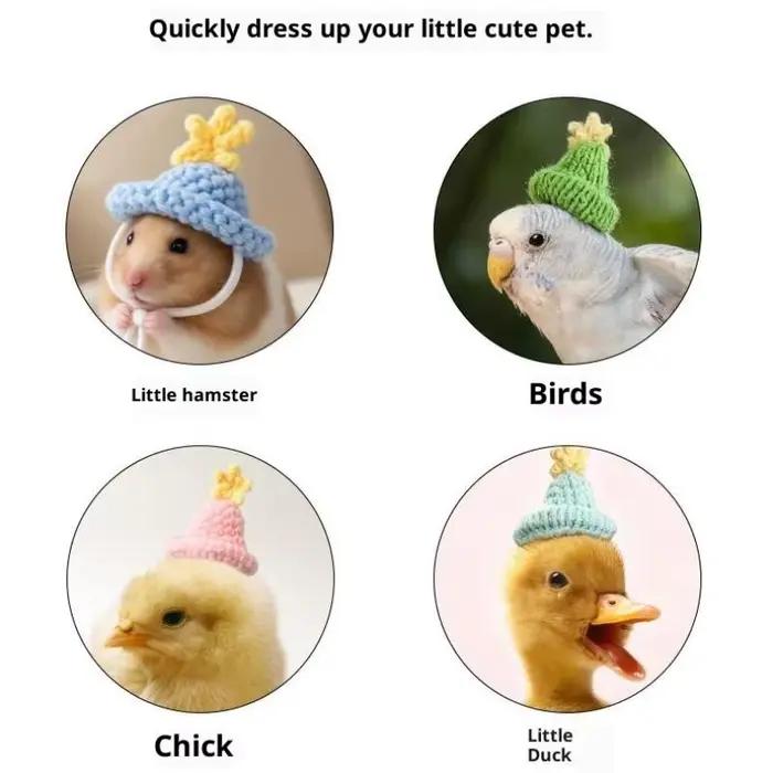 Chapeau tricoté à la main pour animaux de compagnie, mignon, petit Hamster, perroquet, Chipmunk, cochon d'inde, petit Animal, chapeau réglable, accessoires de décoration